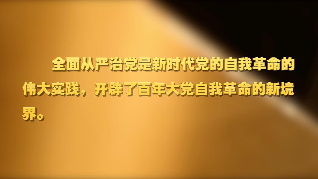 劃重點！十九屆中央紀委六次全會 習(xí)近平提出這些要求