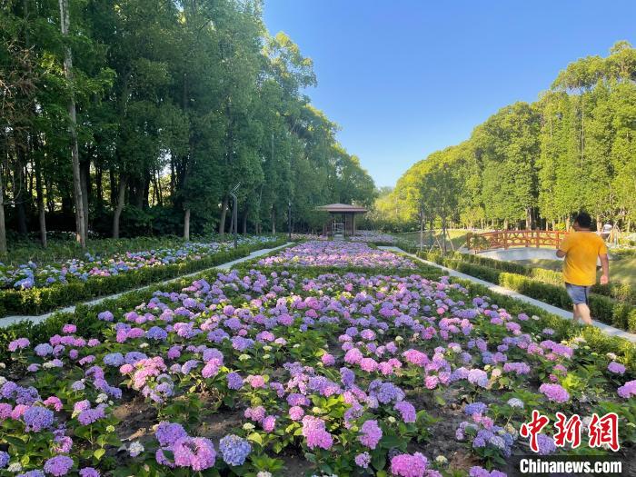 納民意、匯民智上海努力讓“公園城市”建設(shè)真正“合民心”