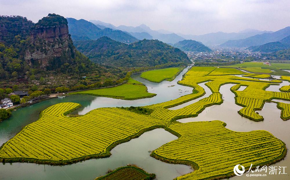 3月28日，航拍浙江省臨海市桃渚鎮(zhèn)桃江十三渚盛開的油菜花景色。人民網(wǎng) 章勇濤攝