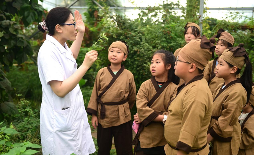 參加活動的孩子聆聽滄州市人民醫(yī)院國醫(yī)館中醫(yī)對中藥材的講解。 傅新春攝