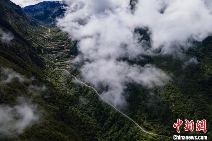 西藏山南勒布溝景區(qū)的盤山公路被云霧環(huán)繞?！〗w波 攝