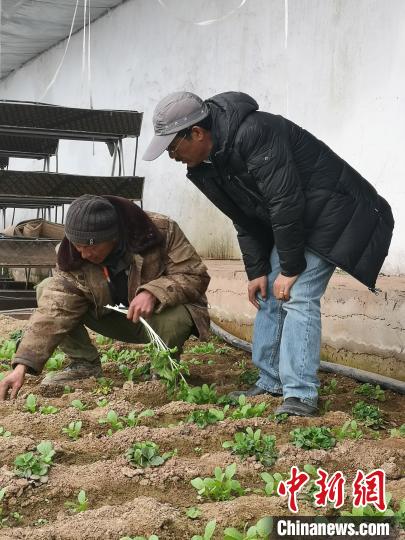 圖為尼瑪扎西(右)與西藏農(nóng)民聊天(資料圖)。西藏農(nóng)科院 供圖