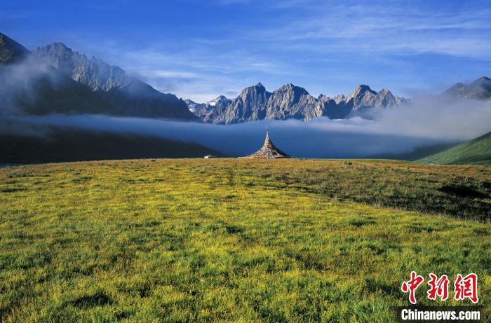 青海天然草地達數億畝政協委員建言設草原保護技術創(chuàng)新中心