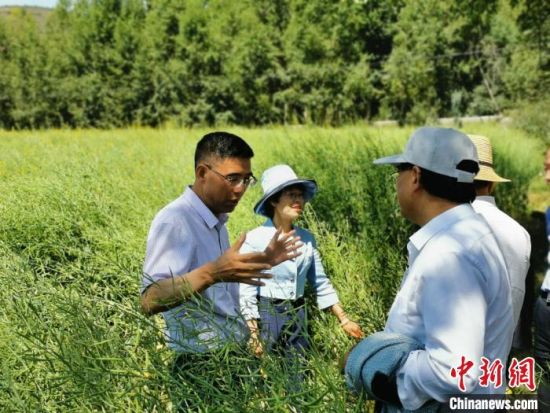 圖為九三學(xué)社青海省委主委杜德志(左一)在基層調(diào)研。受訪者供圖