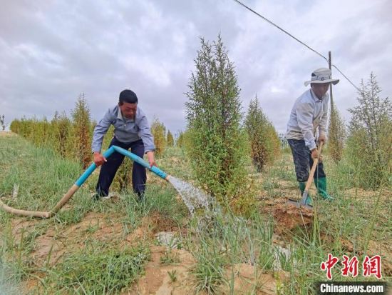 圖為扎西和村民給樹澆水。　祁增蓓　攝