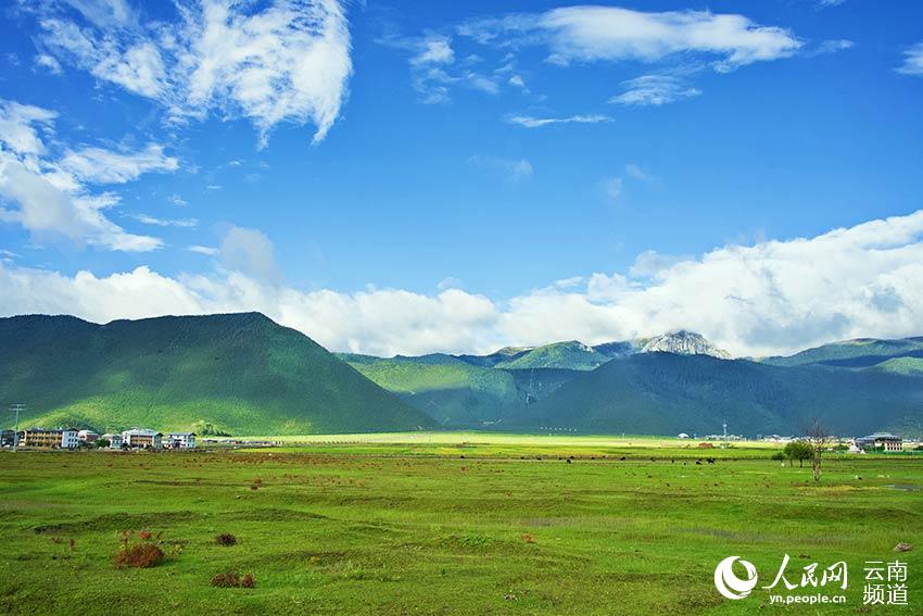 納帕海濕地風(fēng)景。呂昊辰攝