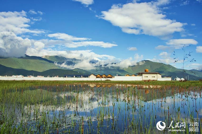 納帕海濕地風(fēng)景。呂昊辰攝