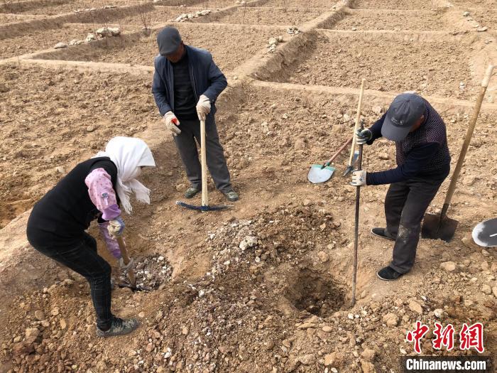 資料圖為建行青海省分行綠化區(qū)施工隊(duì)隊(duì)員處理亂石?！〗ㄐ星嗪Ｊ》中泄﹫D