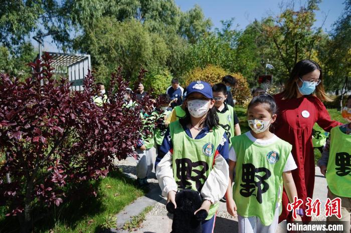 圖為小朋友在青海西寧湟水國家濕地公園內(nèi)認識植物?！●R銘言 攝