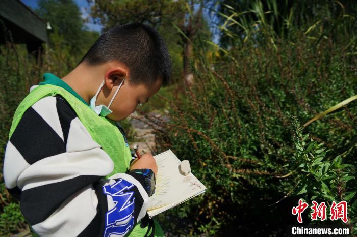 圖為小朋友在青海西寧湟水國家濕地公園內(nèi)認識植物并進行繪畫?！●R銘言 攝