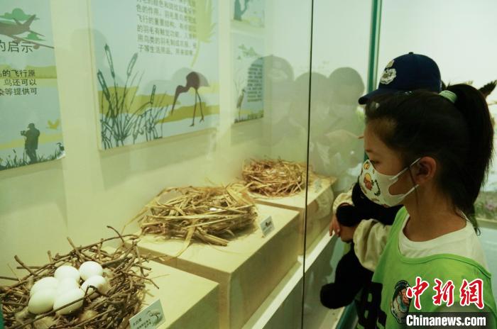 圖為小朋友在青海西寧湟水國家濕地公園科普館內(nèi)參觀學習?！●R銘言 攝