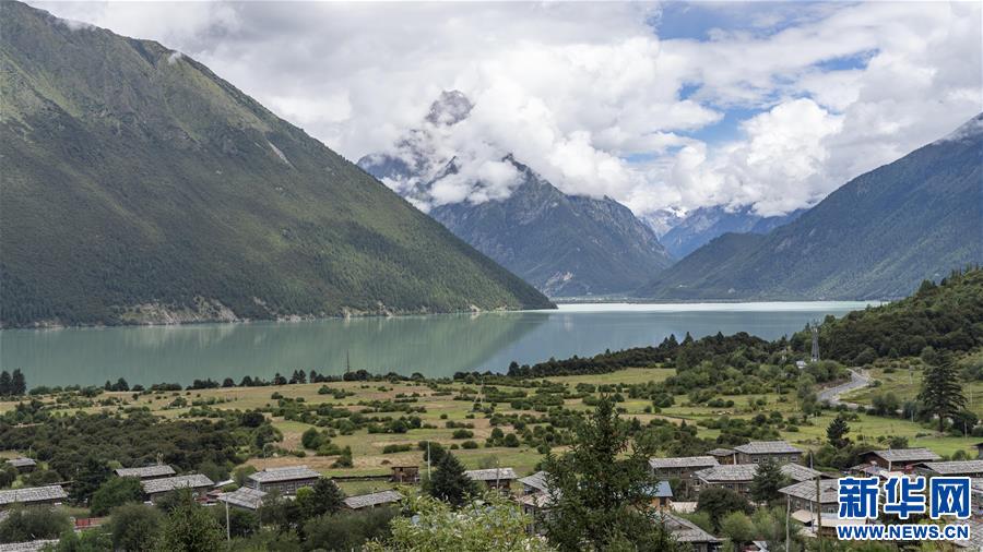 （圖文互動）（2）從坐吃山空到護(hù)林守山——西藏林芝為雪域高原獻(xiàn)上“綠色哈達(dá)”