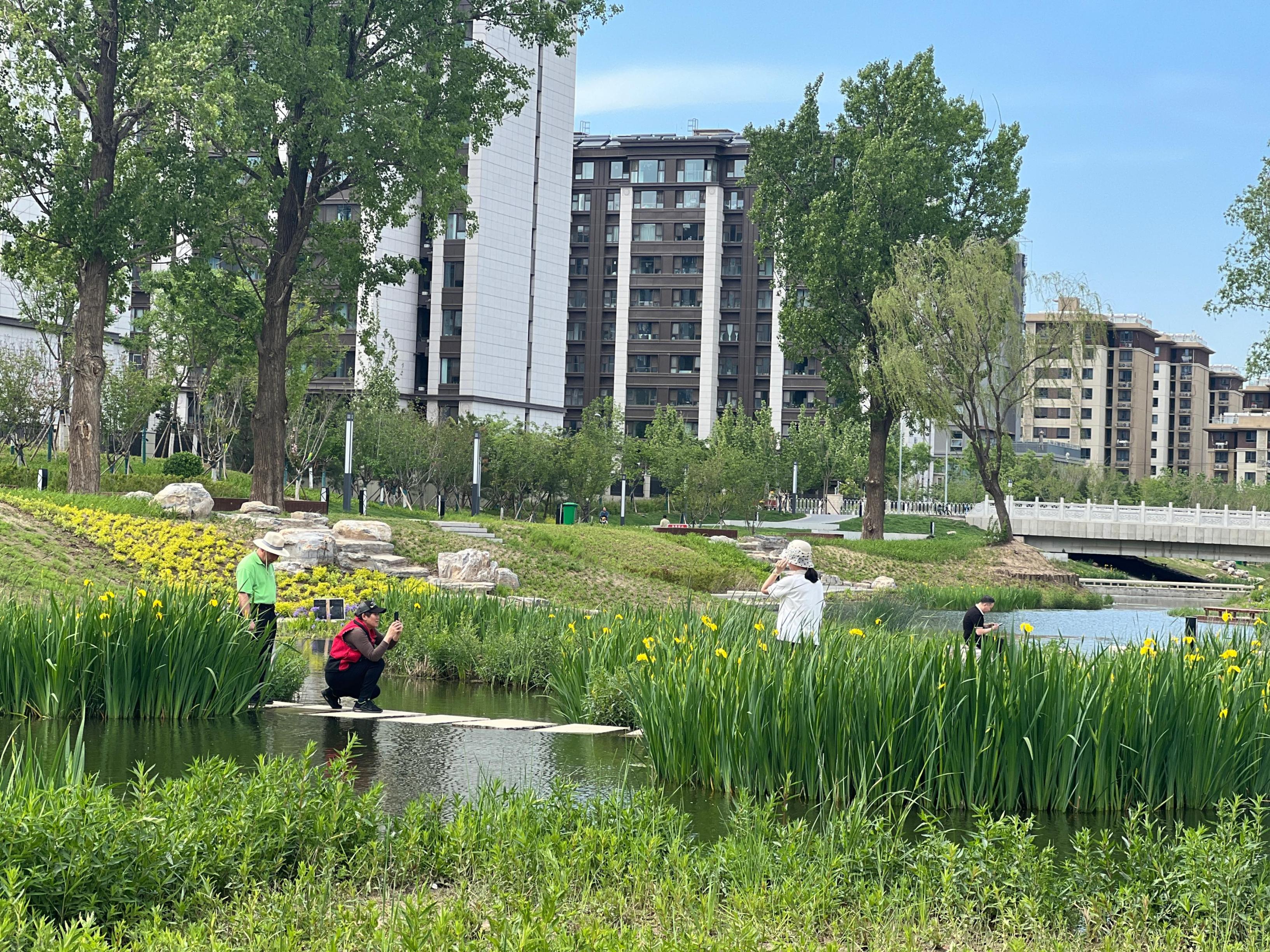 五一渠生態(tài)濱河公園內(nèi)，市民正在拍照留念。人民網(wǎng) 歐陽易佳攝