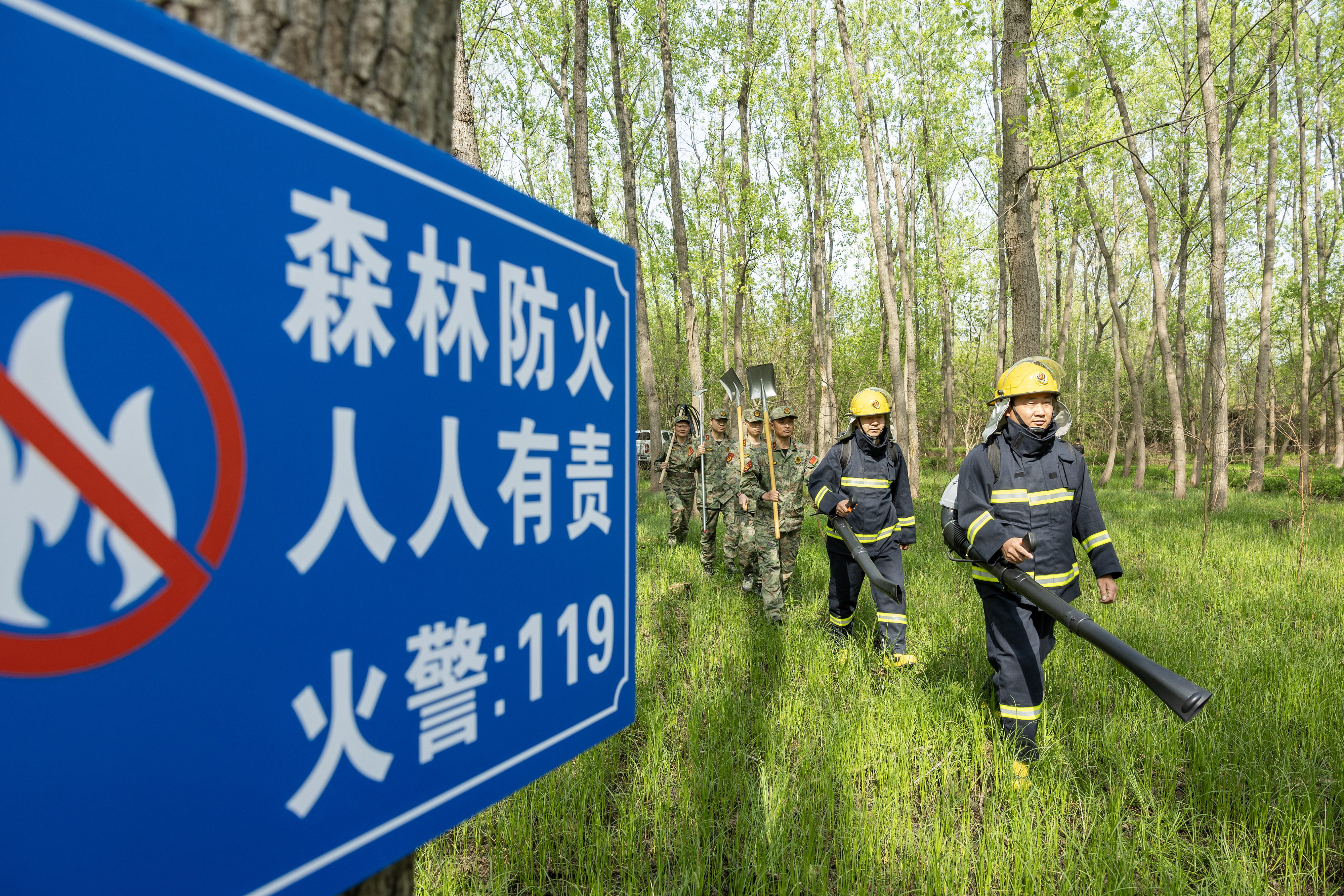 2024年4月9日，合肥市大房郢水庫水源保護地廬陽經(jīng)濟開發(fā)區(qū)段，基干民兵正在林間巡查火災隱患。