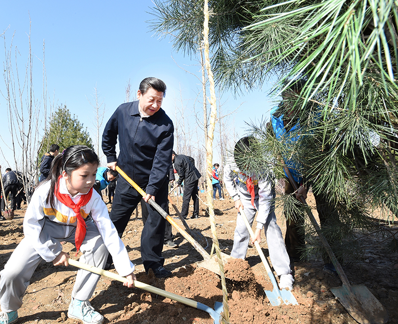 2015年4月3日，習(xí)近平總書記同大家一起植樹。