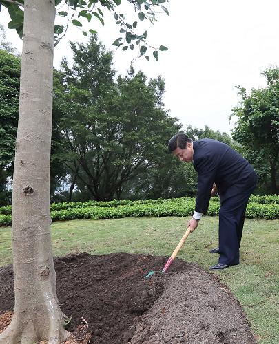 2012年12月7日至11日，習(xí)近平在廣東省考察工作。這是8日上午，習(xí)近平在深圳蓮花山公園種下一棵高山榕樹。新華社記者 蘭紅光 攝