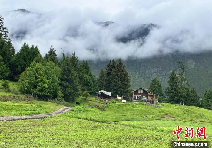 6月10日，魯朗小鎮(zhèn)高山牧場(chǎng)景區(qū)風(fēng)光?！∪轿木?攝