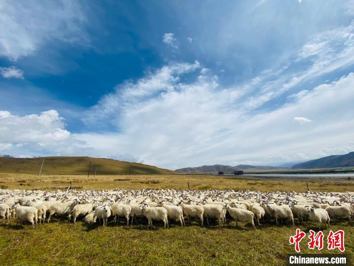 三江源國家公園：科技畜牧支撐生態(tài)保護(hù)和區(qū)域經(jīng)濟(jì)協(xié)調(diào)發(fā)展