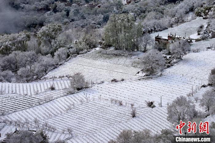 雪后的高山田間如畫(huà)?！±钣腊?攝