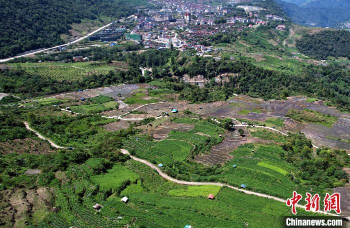 圖為西藏林芝市墨脫縣城附近的茶田。(無人機(jī)照片) 李林 攝