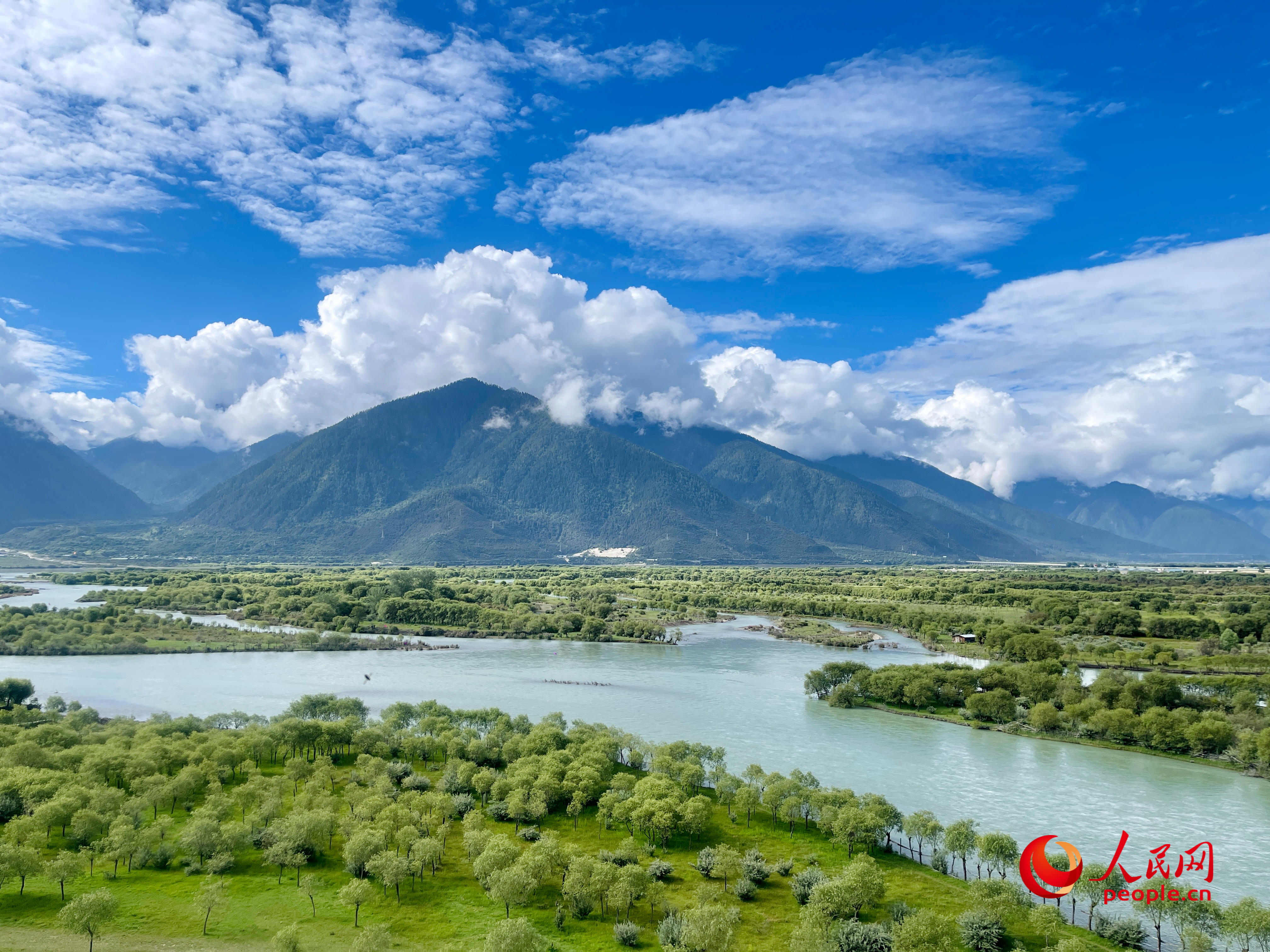 夏日的雅尼國(guó)家濕地公園生機(jī)盎然，如詩(shī)如畫(huà)。人民網(wǎng) 周靜圓攝