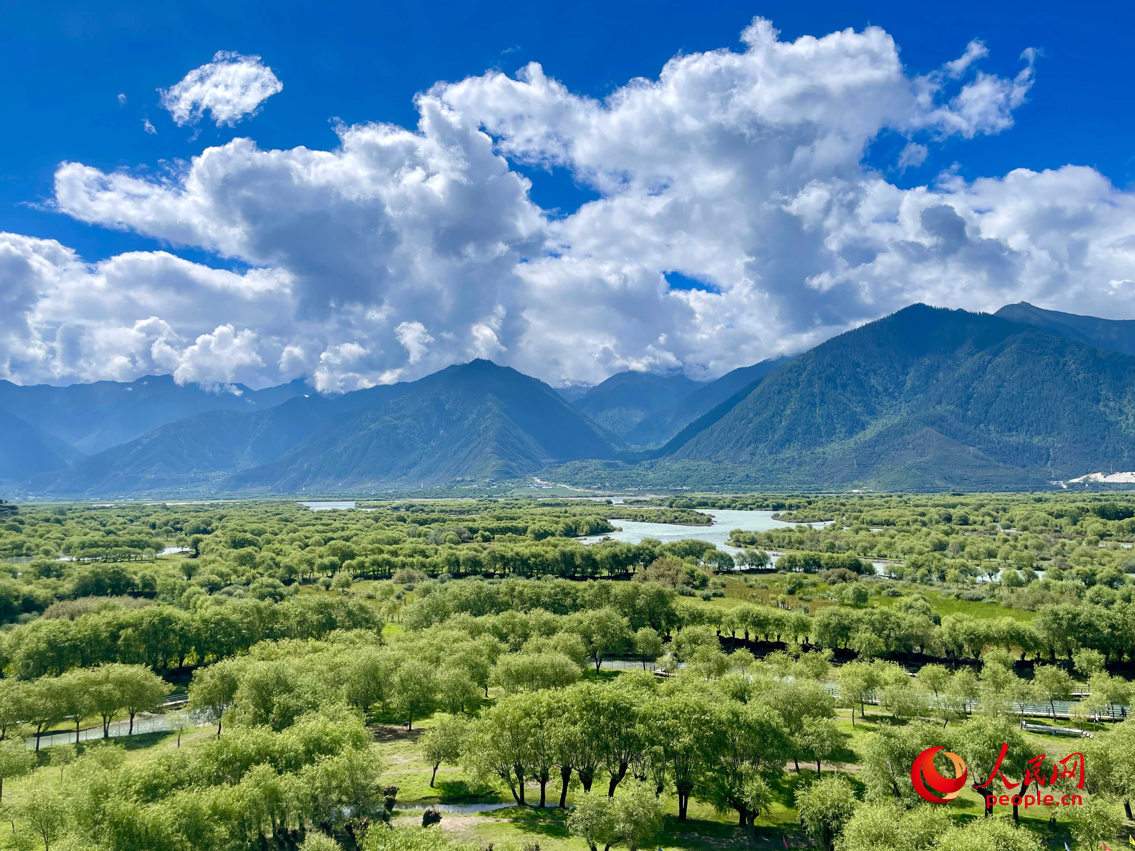 夏日的雅尼國(guó)家濕地公園生機(jī)盎然，如詩(shī)如畫(huà)。人民網(wǎng) 周靜圓攝