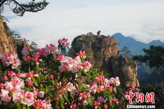 黃山風景區(qū)“五一”小長假客流、車流平穩(wěn)